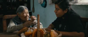 Daughters of the Forest