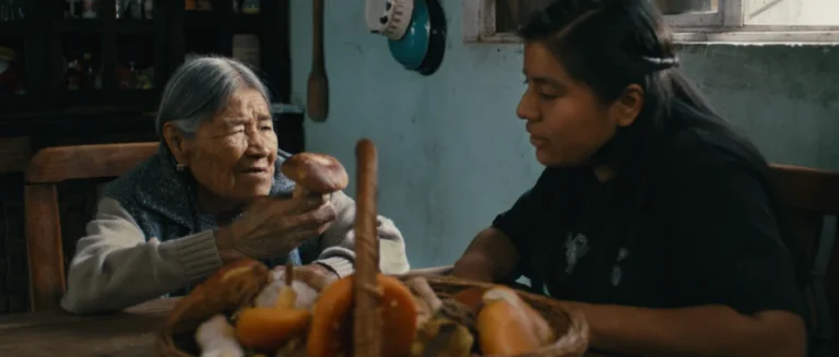 Daughters of the Forest