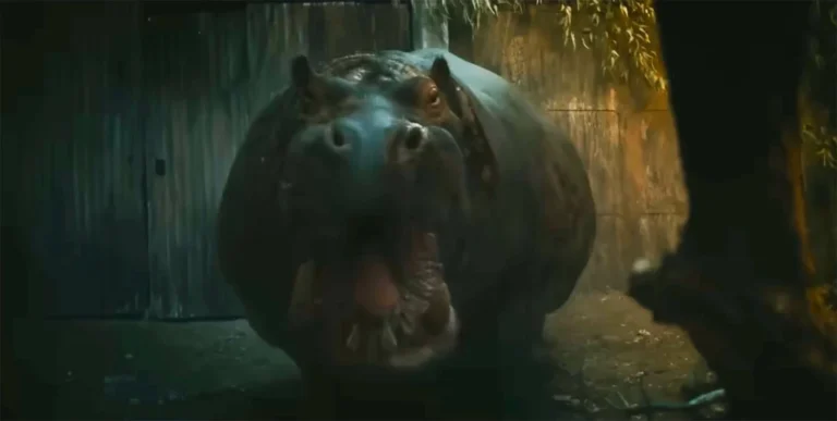 Hungry Unleashes Monstrous Hippo Horror in Louisiana Swamps, Trailer Debuts