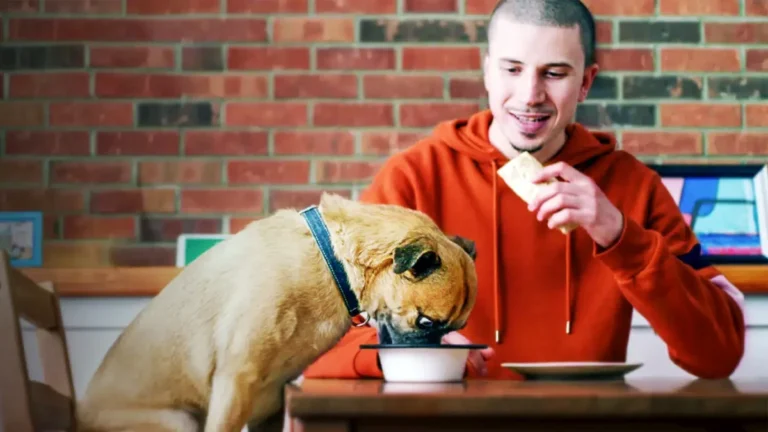 Netflix Originals Scheduled for Departure in April and May 2026 Signal Evolving Content Strategy