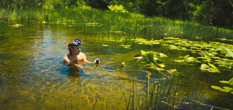 New Documentary ‘The Python Hunt’ Explores Florida’s Controversial Annual Everglades Python Removal Contest.