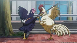 Rooster Fighter