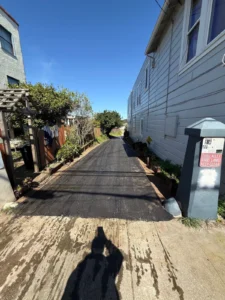 Tech Engineers Transform Accidental Dirt Alley Purchase into Collaborative Digital Art Landmark in San Francisco