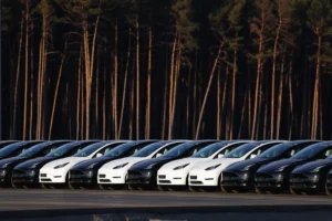 The Breakdown of the Tesla Echo Chamber Broken Promises FSD Failures and the Dissolution of a Digital Cult