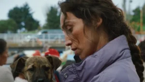 Female Directors and Canine Stars Dominate 23rd Palm Dog Awards at Cannes, Signaling Thematic Resonance and Industry Evolution