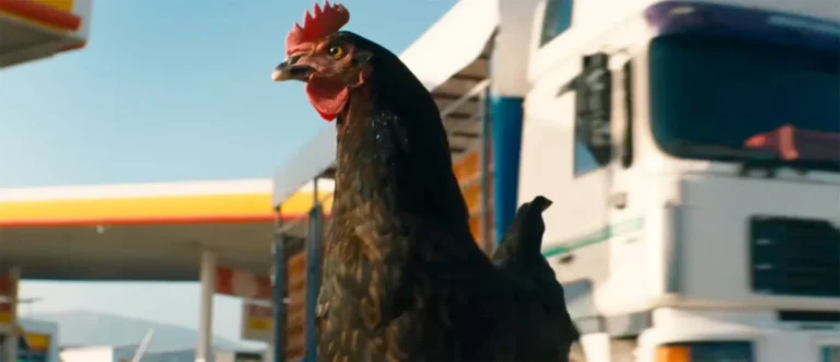 The Hen: Hungarian Filmmaker György Pálfi Unveils Poignant Animal Saga Exploring Humanity’s Shadow