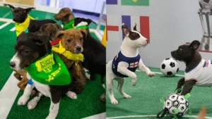LG Channels Launches ‘World Pup,’ A Global Soccer Competition Featuring Rescue Puppies for Adoption Awareness