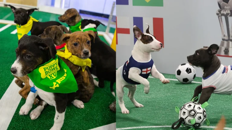 LG Channels Launches ‘World Pup,’ A Global Soccer Competition Featuring Rescue Puppies for Adoption Awareness