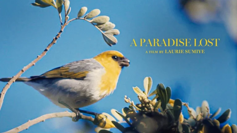A Paradise Lost: The Landmark Legal Battle of an Endangered Hawaiian Bird Unveiled in New Documentary