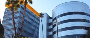 The Role of Specialized Higher Education in Shaping the Global Entertainment Workforce Through the Programs of The Los Angeles Film School