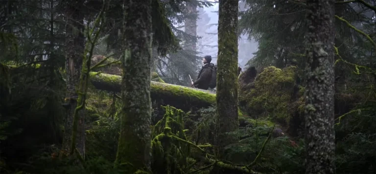 Whispers in the Woods: Vincent Munier’s Enchanting Documentary Explores Wild Forests and Familial Bonds, Set for US Release