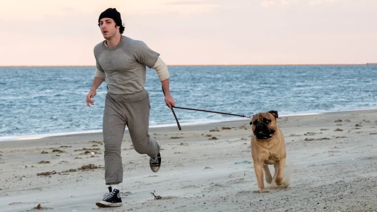 I Play Rocky captures the lightning-in-a-bottle spirit of a cinematic underdog story at the Toronto International Film Festival