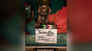 Netflix Announces Completion of Production for Live-Action Scooby-Doo Origins Series Ahead of 2027 Global Premiere