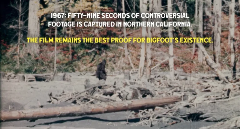 Unearthing the Legend: XYZ Films Drops First Teaser for Marq Evans’ Revelatory Documentary Capturing Bigfoot
