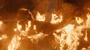 Behind the Digital Veil: Inside DNEG and Amazon Prime Video’s High-Stakes Visual Effects Production for Citadel Season 2