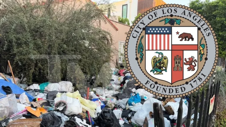 Los Angeles Trash House: Mayor Slams Homeowner as Garbage Piles Up
