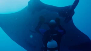 Official Trailer for The Last Dive, Documentary About Befriending a Manta Ray
