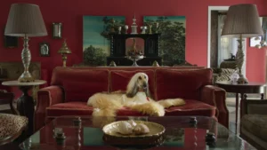 ‘Prince’ Is a Stylized Cinematic Battle Royal With a Show Dog, His Owner, Her Butler and Their Family