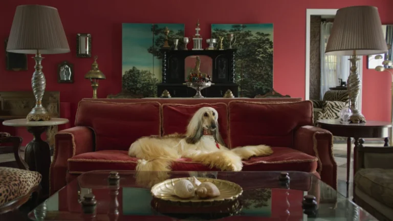 ‘Prince’ Is a Stylized Cinematic Battle Royal With a Show Dog, His Owner, Her Butler and Their Family